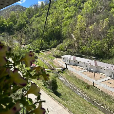 Sobe Milos Dimic * Sijarinska Banja